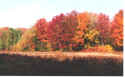Click on picture to enlarge