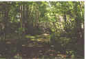 Click on picture to enlarge