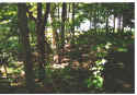 Click on picture to enlarge