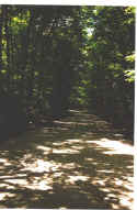 Click on picture to enlarge