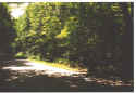 Click on picture to enlarge
