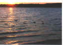 Click on picture to enlarge