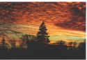 Click on picture to enlarge