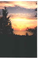 Click on picture to enlarge
