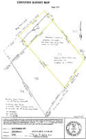 survey-aaa.jpg (79645 bytes)